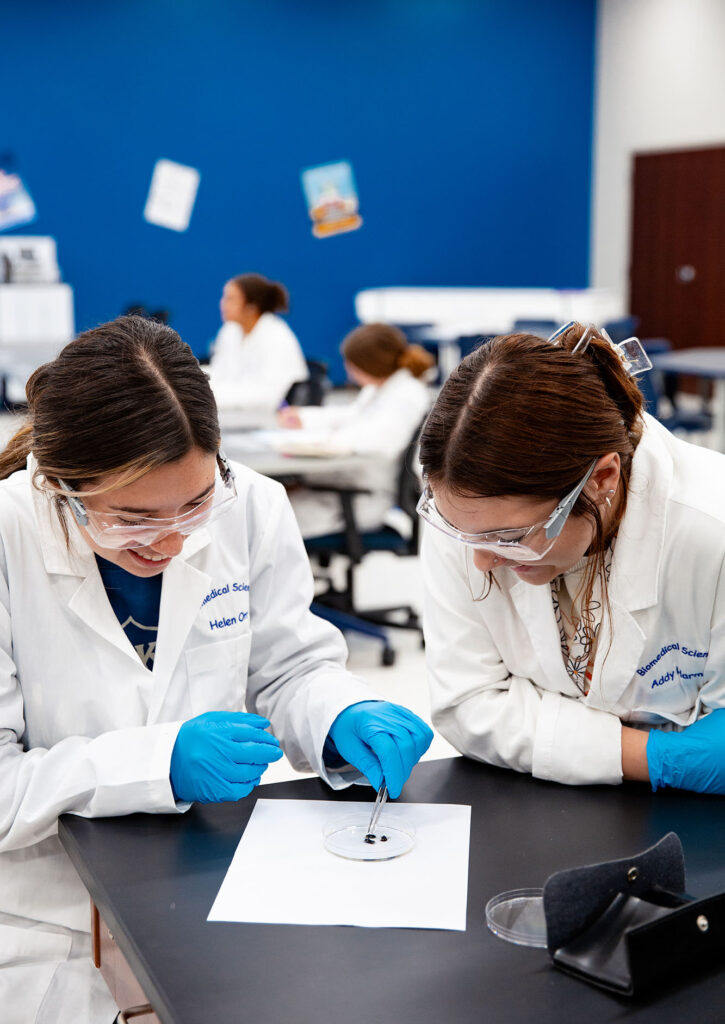 two biomedical sciences students at Central Tech inspecting a dead fly